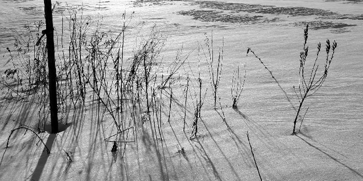 Atelier Photo des Etangs